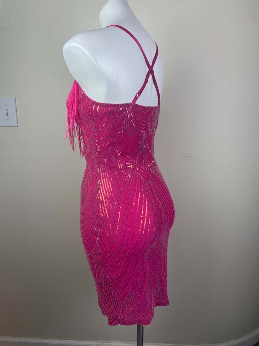 Stretchy Sequin Fringe Party Dress - Picture 12 of 13
